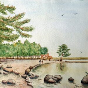 Прогулка у залива